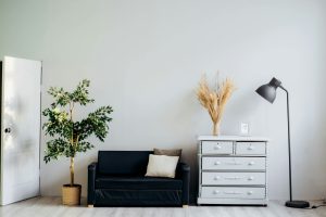 home office with sofa, pot plant and lamp